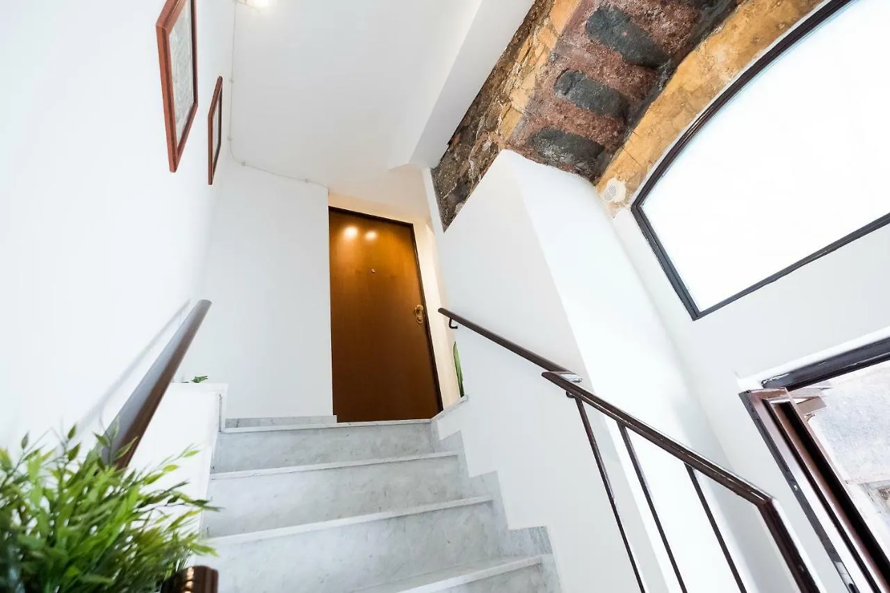 Apollo Home Katánie
